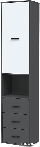 Шкаф распашной Интерлиния Skill-24 (1) (антрацит/белый)