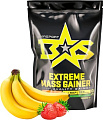 Протеин Binasport Extreme Mass Gainer (1000г, клубника/банан)