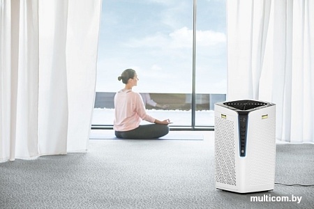 Очиститель воздуха Karcher AF 100 1.024-810.0