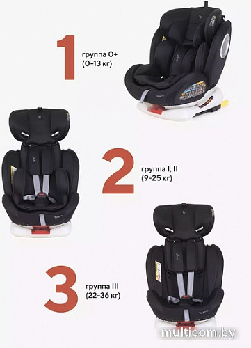 Детское автокресло Rant Basic Twist Isofix YC06 (черный)