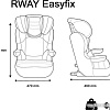Детское автокресло Nania Rway Easyfix (tech silver)
