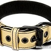 Ошейник Lovetoy Bondage Fetish Black Matt Collar With Leash LV761004 (золотистый)