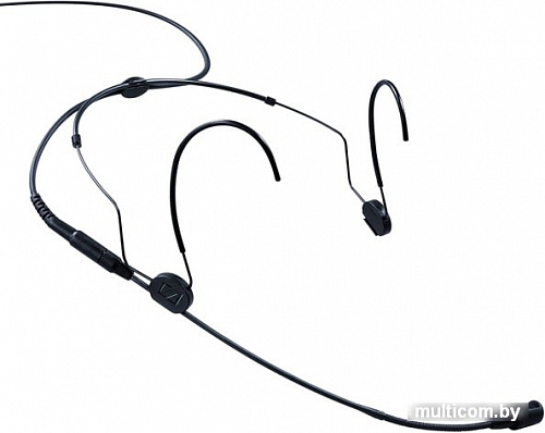 Наушники с микрофоном Sennheiser HSP 4-EW-3 (черный)