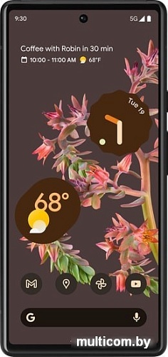 Смартфон Google Pixel 6 8GB/128GB (черный)