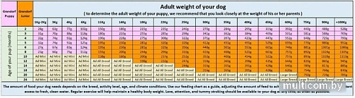 Сухой корм для собак Grandorf Junior Lamb & Turkey (с ягненком и индейкой) 1 кг