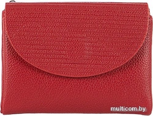 Кошелек Passo Avanti 920-C7788B-BRD (бордовый)