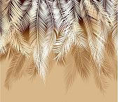 Фотообои Citydecor Пальмовые листья 2 300x260