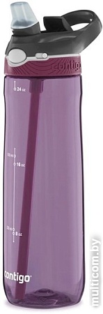 Бутылка для воды Contigo Ashland 2106518 (бордовый)