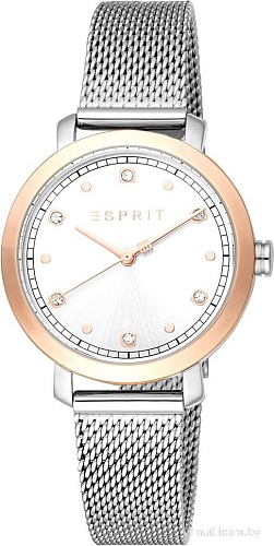 Наручные часы Esprit ES1L402M0065