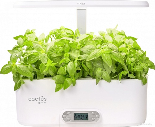 Умный сад CACTUS CS-SMARTPOT-11