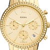Наручные часы Fossil Neutra ES5219