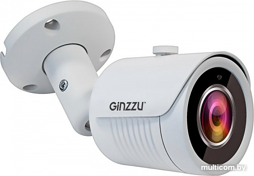 CCTV-камера Ginzzu HAB-5031A