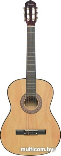 Акустическая гитара Terris TC-3901A NA