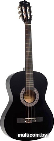 Акустическая гитара Terris TC-3801A BK