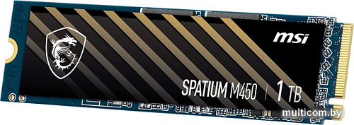 SSD MSI Spatium M450 1TB S78-440L980-P83