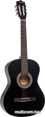 Акустическая гитара Terris TC-3801A BK