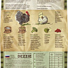 Сухой корм для кошек Dezzie Sensitive Digestion Cat (для кошек с чувствительным пищеварением с индейкой и курицей) 10 кг