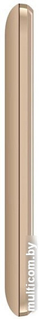 Мобильный телефон Vertex D567 (золотистый)
