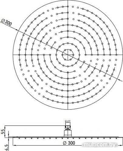 Верхний душ RGW SP-81 30x30 см