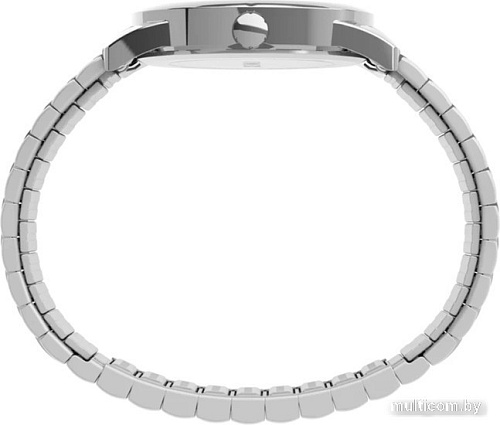Наручные часы Timex Easy Reader TW2V40000
