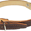 Ошейник Сима 1210BR (коричневый)