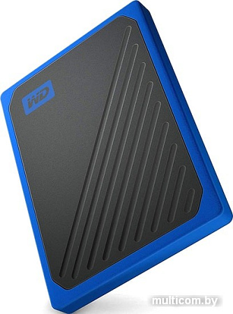 Внешний накопитель WD My Passport Go 1TB WDBMCG0010BBT