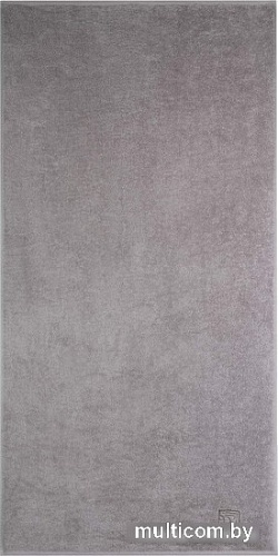 Полотенце Sofi De MarkO Marshall 70х140 Пол-МШ-70х140сс (светло-серый)