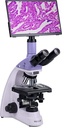 Микроскоп Magus Bio D250T LCD 83009