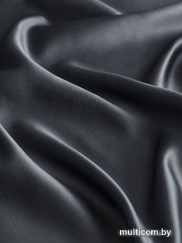 Комплект штор Pasionaria Блэквуд 400x250 (черный)