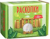 Набор для опытов Bumbaram Раскопки Кельты dig-26