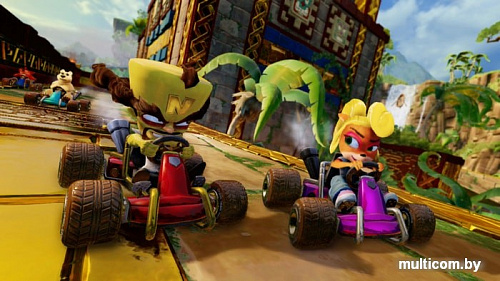 Игра Crash Team Racing Nitro-Fueled для Nintendo Switch