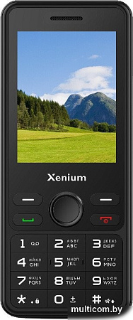 Телефон Xenium X280 (черный)