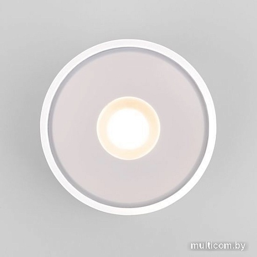 Уличный накладной светильник Elektrostandard Light LED 2135 35141/H (белый)