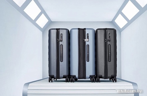 Чемодан-спиннер 90 Ninetygo Rhine Pro Luggage 24 (черный)