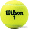 Мяч Wilson Championship Extra Duty WRT100101 (3 шт)