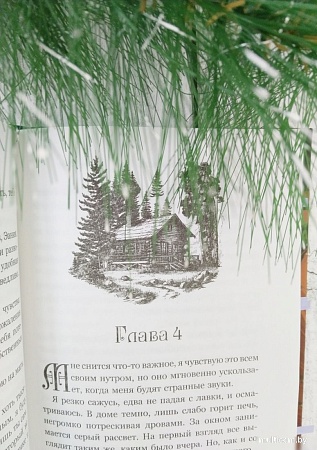 Книга издательства Freedom. Кровь и Клятва (Рок Н.)