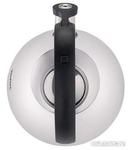 Чайник со свистком Tefal Duetto+ N4180110