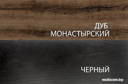 Шкаф распашной Anrex Jagger 2DG2S Дуб Монастырский/Черный