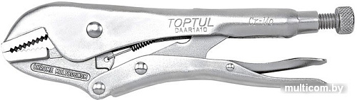 Набор ключей Toptul DAAR1A10 1 предмет