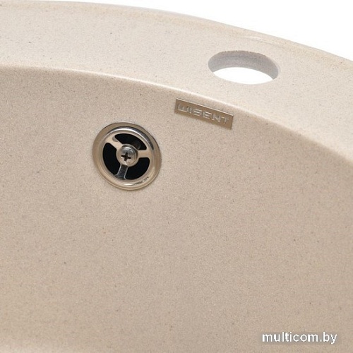 Кухонная мойка Wisent 480-30WR (с сифоном GER013)