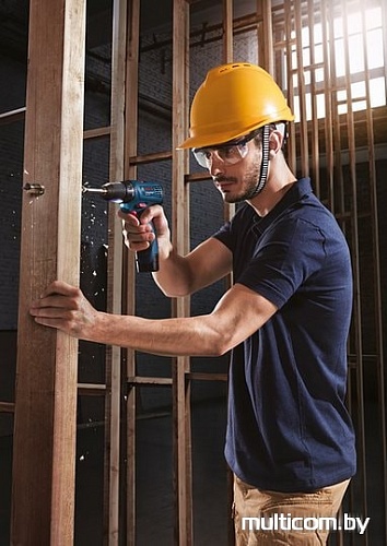 Дрель-шуруповерт Bosch GSR 120-LI Plus GLI 12V-300 Professional (с 2-мя АКБ)