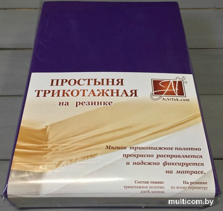 Постельное белье Альвитек Трикотажная на резинке 160x200x20 ПТР-БАК-160 (баклажан)