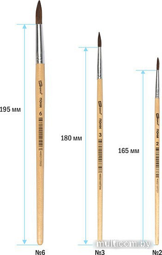 Набор кистей ArtSpace пони № 2, 4, 6 SB246_2384 (3 шт)