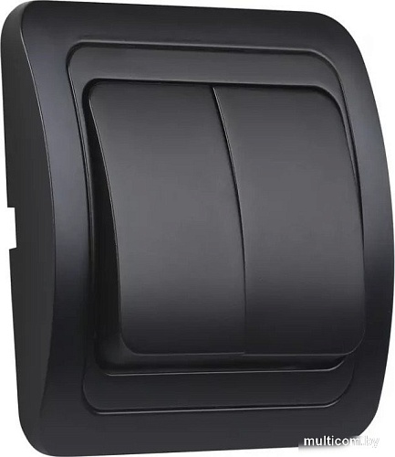 Выключатель SmartBuy SBE-02b-10-SW2-0-c