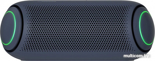 Беспроводная колонка LG XBOOM Go PL5 (черный)