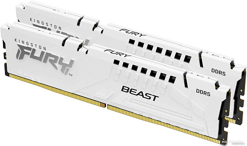 Kingston FURY Beast 2x32ГБ DDR5 6000 МГц KF560C30BWK2-64