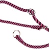 Ошейник-удавка Ferplast Sport Extreme CS8/60 77255519 (черный/сиреневый)