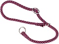 Ошейник-удавка Ferplast Sport Extreme CS8/60 77255519 (черный/сиреневый)