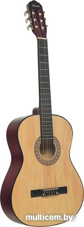 Акустическая гитара Terris TC-3901A NA
