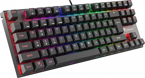 Клавиатура Genesis Thor 300 TKL RGB